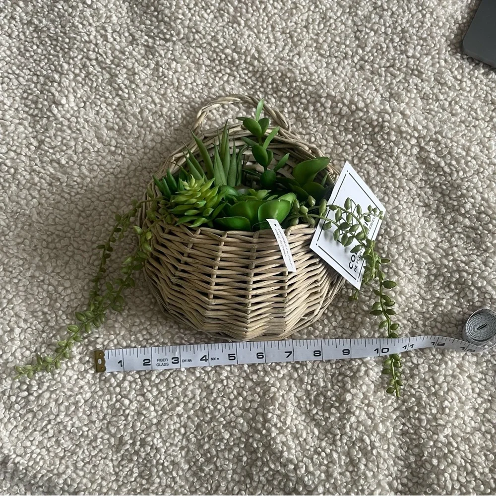 Lifelike succulent wall decor